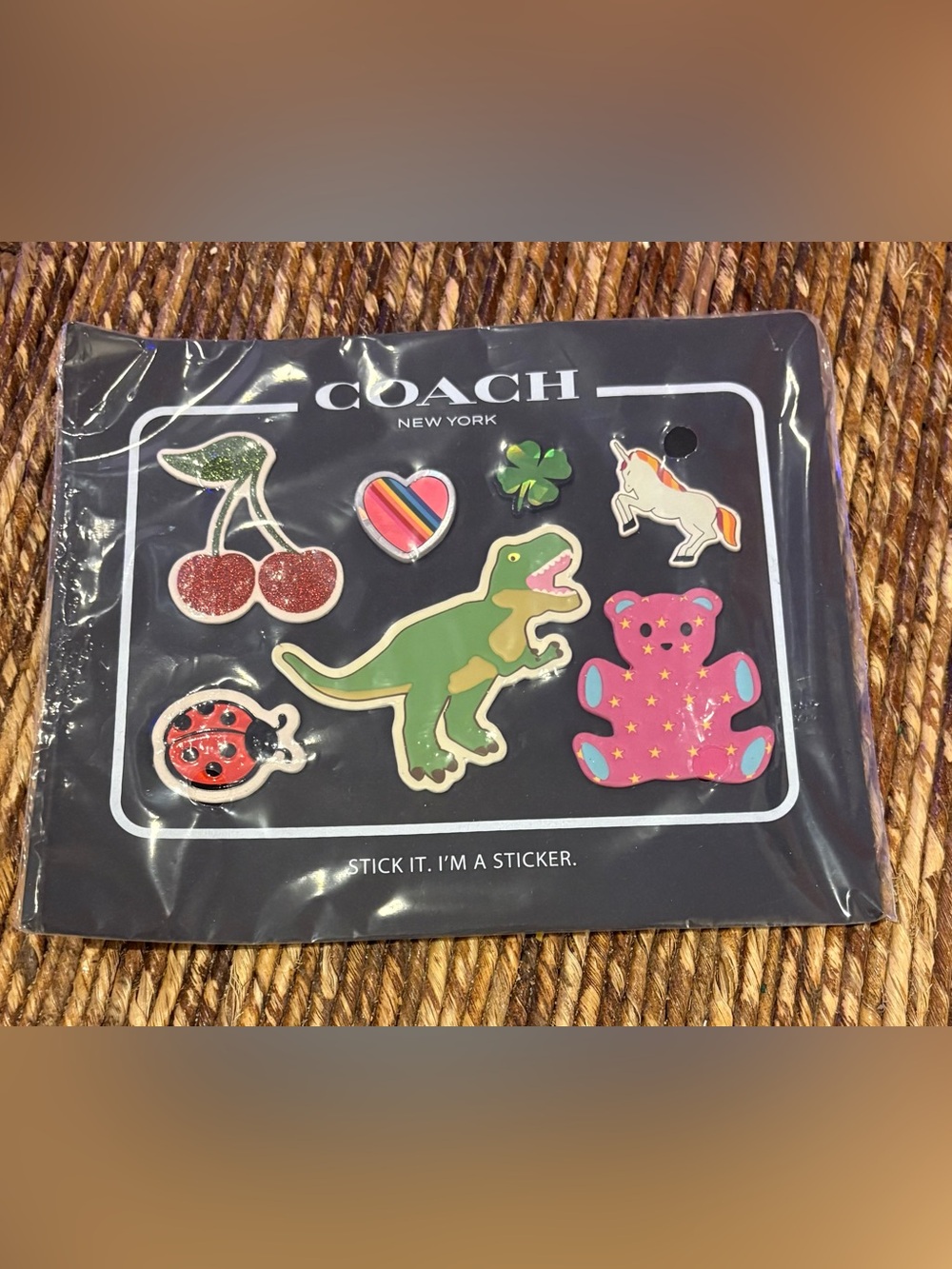 Coach Leather Rexy Sticker Set - NEW